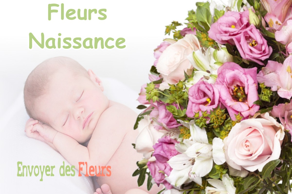 lIVRAISON FLEURS NAISSANCE à COMBLEUX